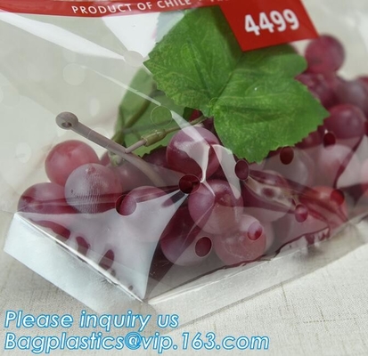 L'insalata fresca della lattuga fruttifica ortaggi freschi dell'anti nebbia dei sacchetti BOPP che imballano le borse, il vegebag, logo della stampa