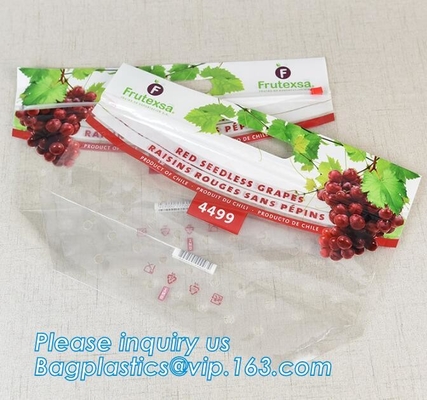 L'insalata fresca della lattuga fruttifica ortaggi freschi dell'anti nebbia dei sacchetti BOPP che imballano le borse, il vegebag, logo della stampa