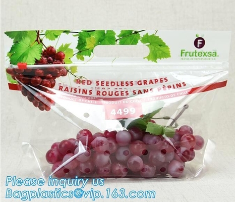 L'insalata fresca della lattuga fruttifica ortaggi freschi dell'anti nebbia dei sacchetti BOPP che imballano le borse, il vegebag, logo della stampa