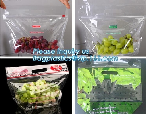 L'insalata fresca della lattuga fruttifica ortaggi freschi dell'anti nebbia dei sacchetti BOPP che imballano le borse, il vegebag, logo della stampa