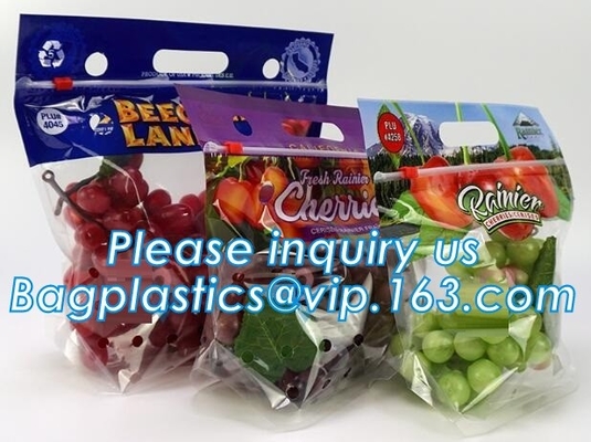L'insalata fresca della lattuga fruttifica ortaggi freschi dell'anti nebbia dei sacchetti BOPP che imballano le borse, il vegebag, logo della stampa