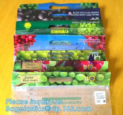 L'insalata fresca della lattuga fruttifica ortaggi freschi dell'anti nebbia dei sacchetti BOPP che imballano le borse, il vegebag, logo della stampa