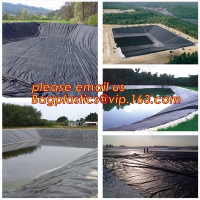 Il costruttore Film della costruzione, impermeabilizza impermeabile, la FODERA degli STAGNI, Geomembrane, il geotessuto, rivestimento protettivo