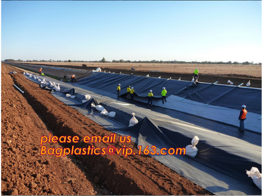 Il costruttore Film della costruzione, impermeabilizza impermeabile, la FODERA degli STAGNI, Geomembrane, il geotessuto, rivestimento protettivo
