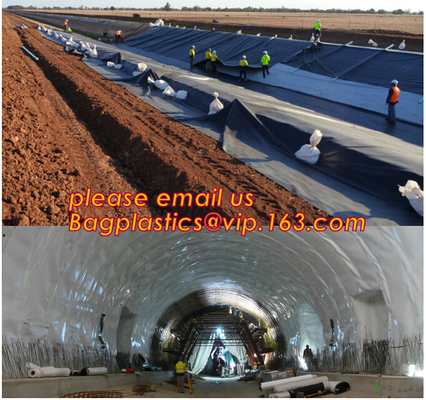 Il costruttore Film della costruzione, impermeabilizza impermeabile, la FODERA degli STAGNI, Geomembrane, il geotessuto, rivestimento protettivo