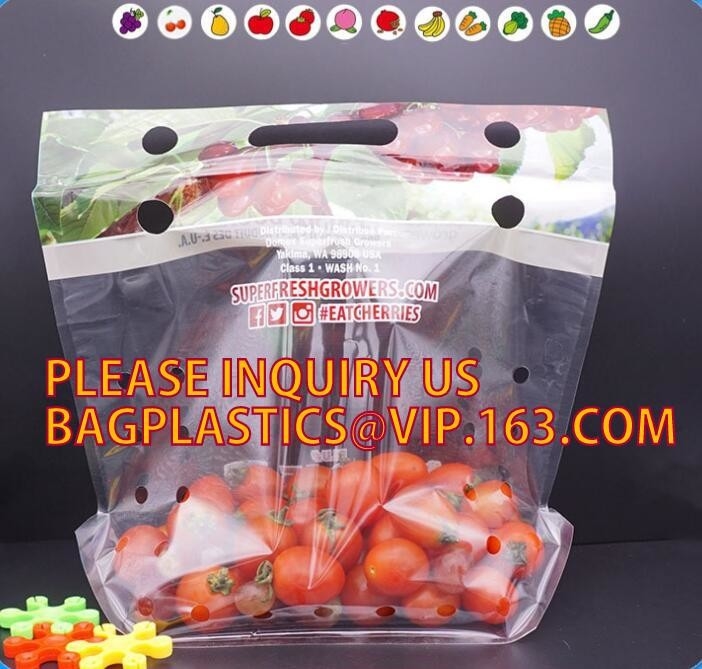 Stia sul sacchetto, borse di plastica della serratura dello zip della chiusura lampo del cursore del chiaro del commestibile del congelatore dell'alimento pacchetto riutilizzabile della frutta