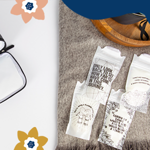 Organizzatore della gelata, contenitore, immagazzinando sistema, allattante al seno gli accessori, serratura senza BPA e doppia della chiusura lampo 0