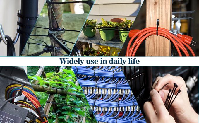 Fascette ferma-cavo del cavo dello zip, auto che chiude involucro a chiave di nylon, guarnizione di plastica, serracavo, guarnizione del tester, lucchetto, guarnizione di Bolt 29