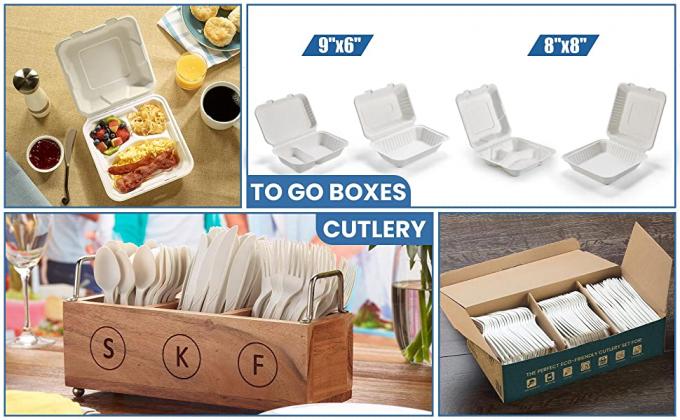 La copertura superiore concimabile elimina i contenitori di alimento, la bagassa eliminabile naturale, ecologica, Sugar Cane Fibers 1