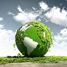 La copertura superiore concimabile elimina i contenitori di alimento, la bagassa eliminabile naturale, ecologica, Sugar Cane Fibers 7