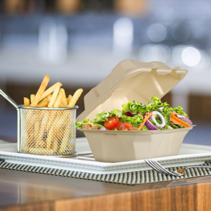 La copertura superiore concimabile elimina i contenitori di alimento, la bagassa eliminabile naturale, ecologica, Sugar Cane Fibers 6