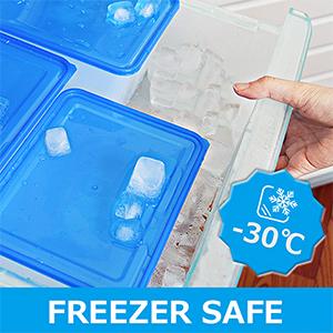 Contenitori di stoccaggio di alimento riutilizzabili del congelatore con i coperchi, Microwaveable libero di Bento Box BPA degli insiemi del contenitore della preparazione del pasto 1