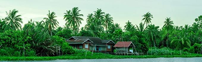 Le cannucce di PLA, le paglie giganti di CPLA, avvolte individualmente, pianta hanno basato le paglie flessibili concimabili, cocktail 9