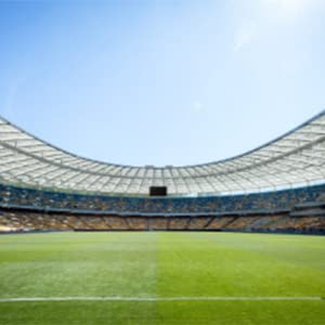 Le chiare borse, stadio approvato, vedono attraverso Tote Bag, la tracolla, grande borsa trasparente 11