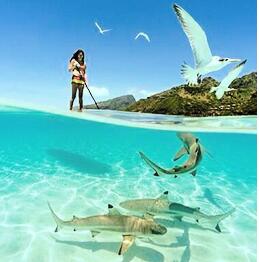 Le donne si increspano, organizzatore With Reinforced Handle, cinghie della borsa di stoccaggio della maniglia del sacchetto per gli uomini delle donne 2