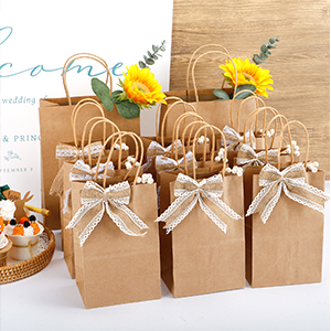 I sacchetti della spesa riciclabili, le borse al minuto, le borse del partito, le borse delle mercanzie, borse di favore, vendono le borse al minuto 1