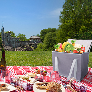 Il panno di Oxford ha isolato i sacchetti della spesa di drogheria riutilizzabili, la dimensione di XL, la grande borsa del dispositivo di raffreddamento di picnic, il freddo superiore Zippered 11