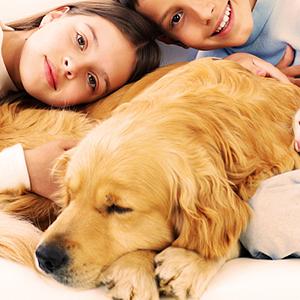 Nastro fragile, sigillamento della scatola, sigillamento del cartone di Bopp, adesivo di spedizione, nastro trasparente d'imballaggio, Maling preciso 16